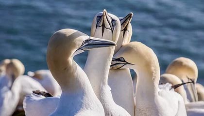 博尔塔拉蒙古最新的高价医保个人账户余额微信查询方法分享(博尔塔拉蒙古医保查询个人账户明细怎么查微信教程)